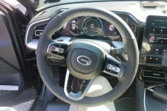 2022 GAC Trumpchi Trumpchi GS8 2022 PilotSeries 2.0TGDI AT 2WDLuxurySmart Connect（6Seat） #15