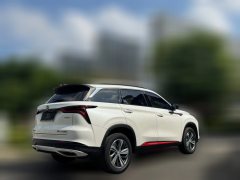 2019 Chang'an CS75 Plus 2020 1.5T AT Luxury #7