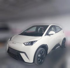 2023 BYD Seagull 2024 Glory 305km vitalityEdition #2