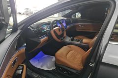 2023 BYD Han 2022 1.5T AT DM-i 121KM Exclusive #9