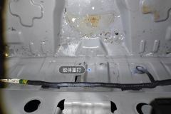 Trunk Floor