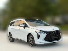 2022 Dongfeng Fengxing Fengxing Youting 2022 1.5T AT DCTChase the wavesEdition #2