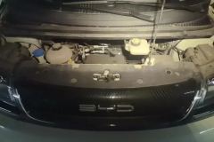 2023 BYD Dolphin 2023 420km Fashion #10