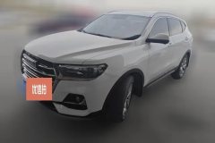 2022 Haval H6 2021 1.5T AT China tideChampion #1