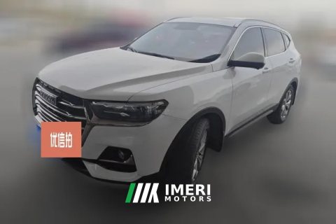 2022 Haval H6 2021 1.5T AT China tideChampion