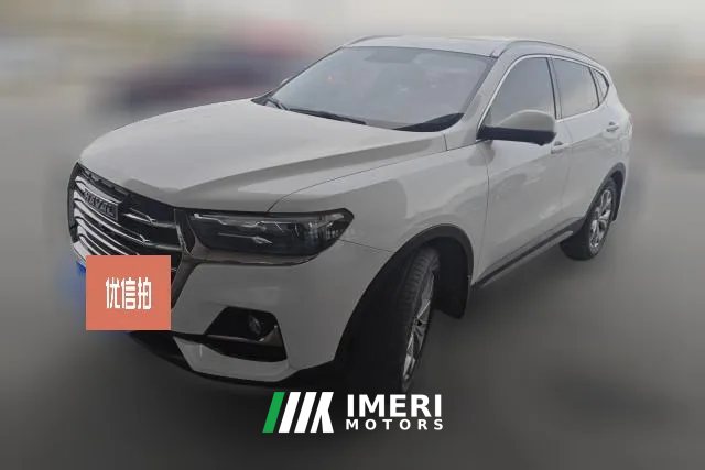 2022 Haval H6 2021 1.5T AT China tideChampion