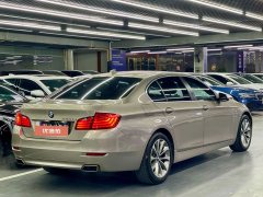 2017 BMW 5 Series 2017 2.0T AT 528LiLeading #10