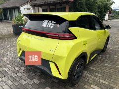 2024 BYD Seagull 2024 Glory 405KM flyEdition #11