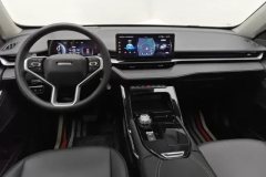 2023 Haval H6 2021 2.0T AT No.3generation2WDMax #12