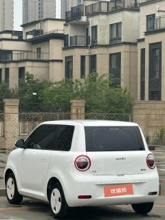 2025 Chang'an Qiyuan Chang'an Lumin 2025 205km Xiangqin #6
