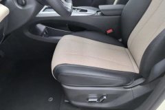 2025 BYD Dolphin 2025 Smart Drive 410km Fashion #21