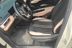 2025 BYD Seagull 2025 305km vitalityEdition #9