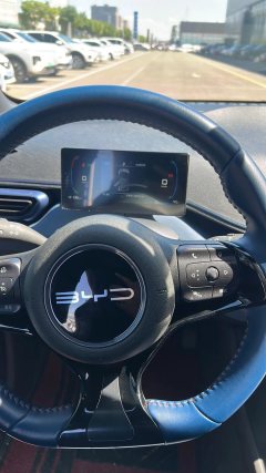 2024 BYD Seagull 2024 Glory 305KM freeEdition #11