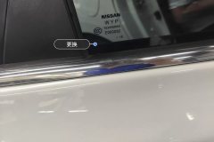 Right Rear Window Glass