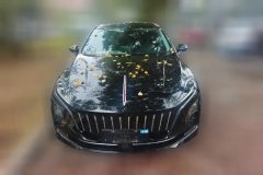 2024 Hongqi E-QM5 2024 450km travelEdition #2