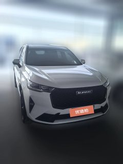 2022 Haval H6 2021 2.0T AT No.3generation4WDMax #3