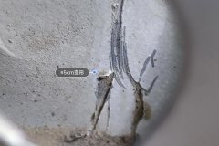 Прав. Передн. крыло Bracket
