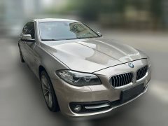 2016 BMW 5 Series 2014 2.0T AT 528LiLeading #4