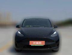 2021 Tesla Model Y 2021StandardBattery lifeRWDEdition #2