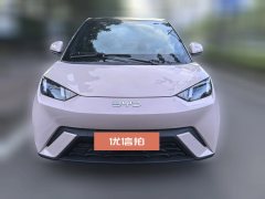 2024 BYD Seagull 2024 Glory 305KM freeEdition #2