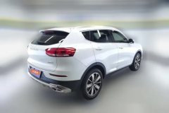 2020 Haval H6 2021 1.5T AT Champion #3
