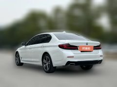 2021 BMW 5 Series 2021 2.0T AT 530LiLeadingLuxury Pkg #9