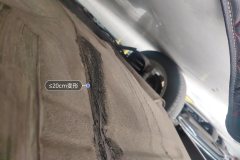 Trunk Floor