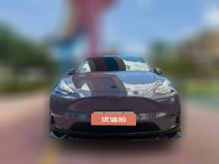 2021 Tesla Model Y 2021Long Rangeall wheel driveEdition 3D7 #2