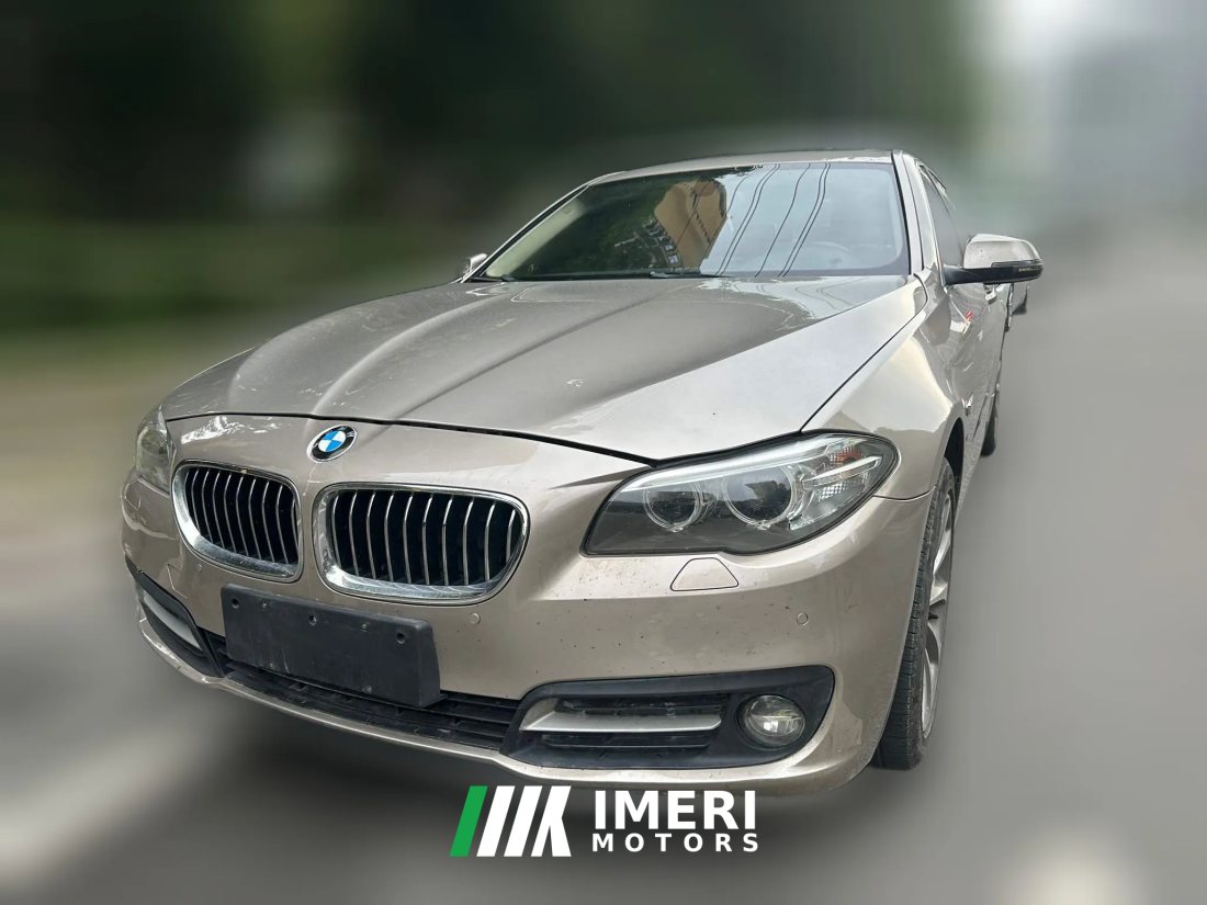2016 BMW 5 Series 2014 2.0T AT 528LiLeading