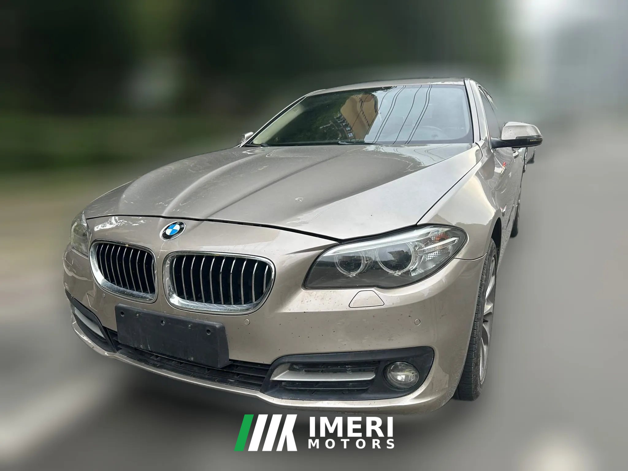 2016 BMW 5 Series 2014 2.0T AT 528LiLeading