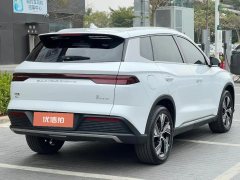 2024 BYD Song Pro PHEV 2023 Champion 1.5 AT DM-i 110KM Surpass #12