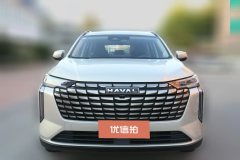 2024 Haval H6 2024 1.5T AT 2WDUltra #2