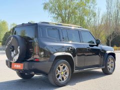 2025 Jetour Traveler 2023 2.0T AT 4WDconquer #9