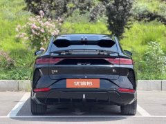 2025 BYD Song L EV 2025 550km excellence #12
