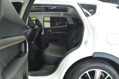 2020 Haval H6 2021 1.5T AT Champion #11