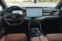 2024 BYD Tang PHEV 2023 1.5T AT DM-i Champion 112KM Premium #12