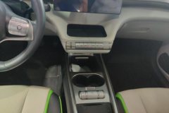 2022 BYD Dolphin 2021 405km Fashion #16