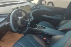 2022 BYD Dolphin 2021 401km knightEdition #12