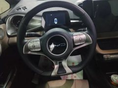 2023 BYD Dolphin 2024 Glory 302km vitalityEdition #2