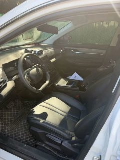 2024 Dongfeng Fengshen Dongfeng Fengshen SKY EV01 2024 445km PRO #3
