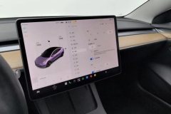 2021 Tesla Model 3 2021 StandardBattery lifeRWDUpgradeEdition #24