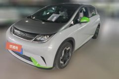 2022 BYD Dolphin 2021 405km Fashion #1