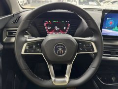 2020 BYD Song Pro 2019 1.5T AT Luxury #13