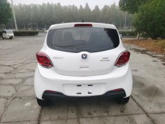 2021 Chang'an Benben E-Star 2022 EnjoyableEdition Colorful NMC #5