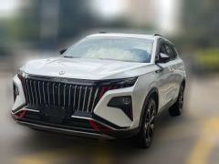 2024 Dongfeng Fengshen Haoji 2022 1.5T Mach Dynamic Joy Edition #1