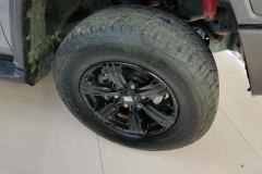 2021 Tank 300 2021 Off-road 2.0TAT conqueror #6