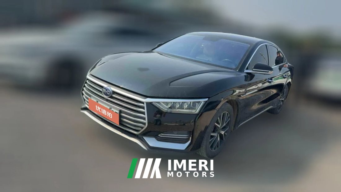 2021 BYD E9 2021 Business
