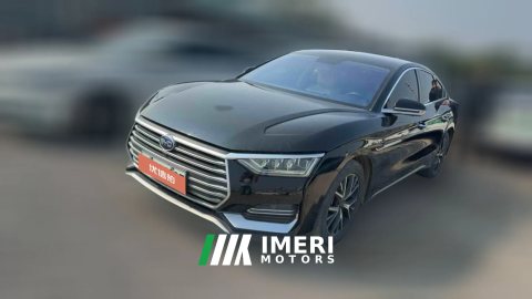 2021 BYD E9 2021 Business