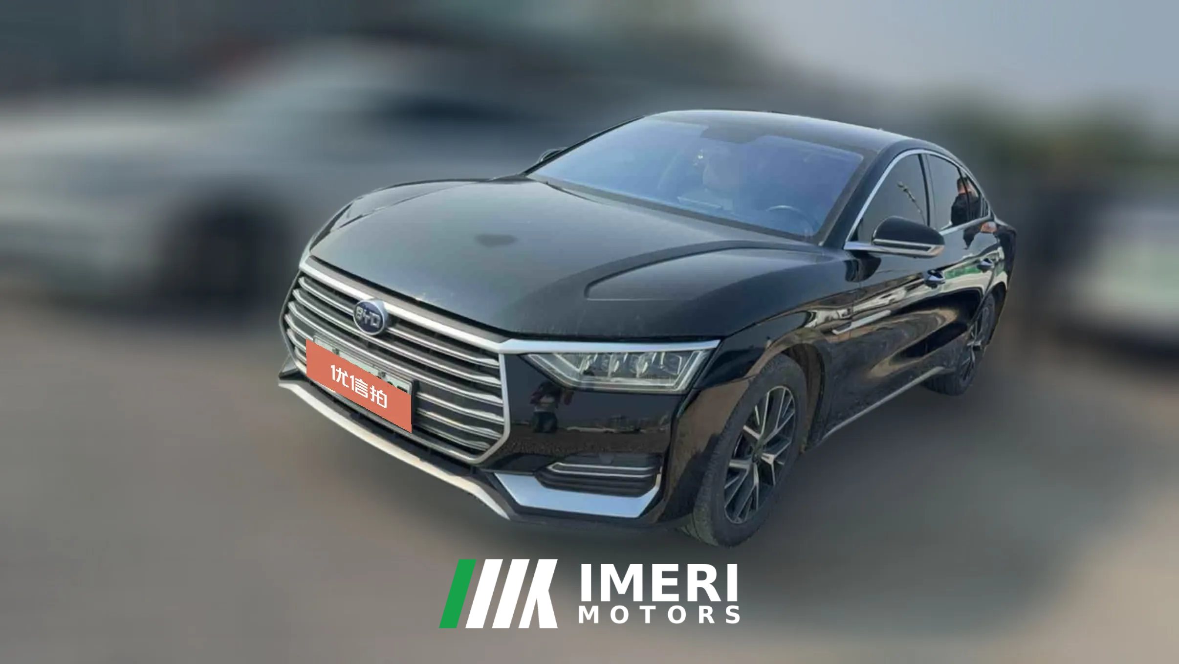 2021 BYD E9 2021 Business