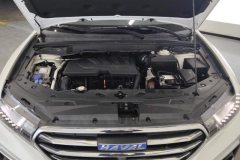 2018 Haval H6 Coupe 2018 1.5T AT Blue LabelSuperHaoFWD #10